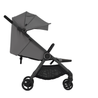 Бебешка количка Anex IQ Basic New /all in one/, Lune-dZyeL.png