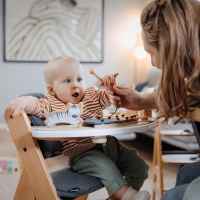 Дървена играчка с табла за игра за столче за хранене Alpha+/Beta+ Hauck, Зебра, Play Music-fpHdD.jpeg