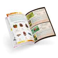 Образователна играчка Buki France, Терариум-g487f.jpeg