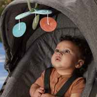 Активна гимнастика със сензорни занимания Fisher Price-hCNKi.jpeg