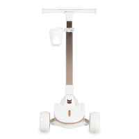 Тротинетка Byox Aero, Lace-Pink-iLwsZ.jpeg