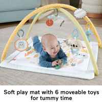 Активна гимнастика със сензорни занимания Fisher Price-kfWao.jpeg