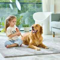 Мини рекордер за начинаещи Hape-l5POb.jpeg