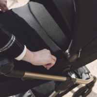 Бебешка количка Anex IQ Premium New /all in one/, Pure-mkgei.jpeg