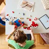 Конструктор LEGO Minecraft, Къщата на Муухоморка-mqk7c.jpeg