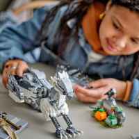 Конструктор LEGO Harry Potter, Бъкбийк-nlTOM.jpeg