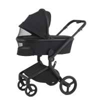 Комбинирана бебешка количка 3в1 Anex Flo, Lungo-oTQ5z.jpeg