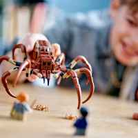 Конструктор LEGO Harry Potter, Арагог в Забранената гора-pycO8.jpeg