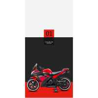 Акумулаторен мотор JJ Kawasaki Ninja, зелен металик-qeVjx.jpeg