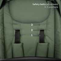 Комбинирана бебешка количка 2в1 Lorelli Venice, Green-rCj44.jpeg