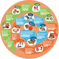 Образователен пъзел за под Hape, Каменна ера, 57.5 см, 100 части-tEr5A.jpeg