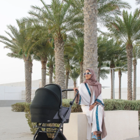 Кош за новородено Anex Air-X, сив-uPgHQ.png