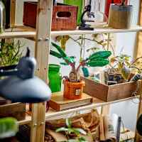 Конструктор LEGO Harry Potter, Мандрагора-v7IAQ.jpeg