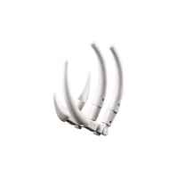 Конструктор LEGO Creator Могъщите динозаври-wONVD.jpg