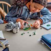 Конструктор LEGO Harry Potter, Бъкбийк-wxVLM.jpeg