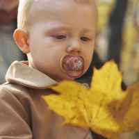 2 бр. залъгалки Philips Avent Ultra Air 18м+ хамелеон и маймунка, лилаво-yW0FI.jpeg