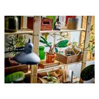 Конструктор LEGO Harry Potter Мандрагора-z0ogY.jpeg