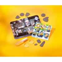 Творчески комплект Totum, Minions, Направи сам магнити с миньони-zPNKl.jpeg